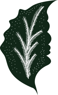 Leaf Vector IMG